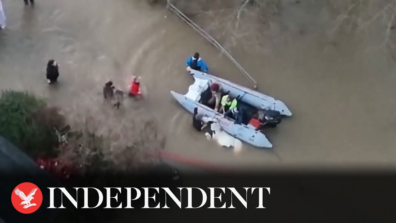 Cow rescued by dinghy after being stranded in Storm Henk floods - YouTube