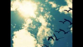 Day is Dimming - Brooke Fraser