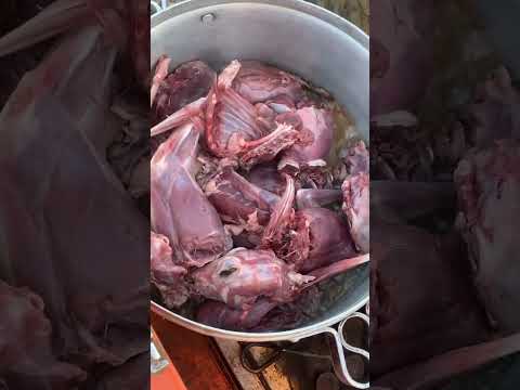 طبخ ارانب