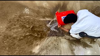 Advanced Level Of Dirty rug Cleaning -Carpet Cleaning Satisfying-Rug Cleaning ASMR- Satisfying video