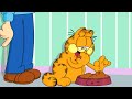 Garfielf but it’s actually Garfield