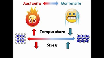 Unique properties of NiTi alloys
