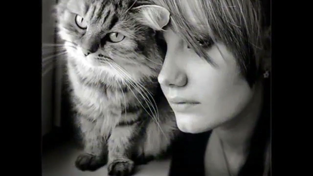 Картинка девушка с кошкой. Девушка с котом. Красивая девушка с кошкой. Фотосессия с кошкой. Девушка кошечка.