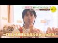 「IMP. 椿泰我の広島パンパカパーン」#84 視聴者オススメの人気パン屋さん巡り！お店のTOP3を試食してナンバー1を当てる！お得なミルクフランスがオススメ！やさしく幸せになるパン屋さん　広島