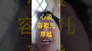 心淡 容祖儿 草蜢 cover 粤语怀旧金曲 粤语歌 粤语歌曲 粤语金曲永远不会腻 容祖儿 草蜢