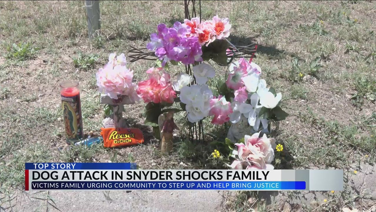 Family reacts to fatal dog attack in Snyder - YouTube