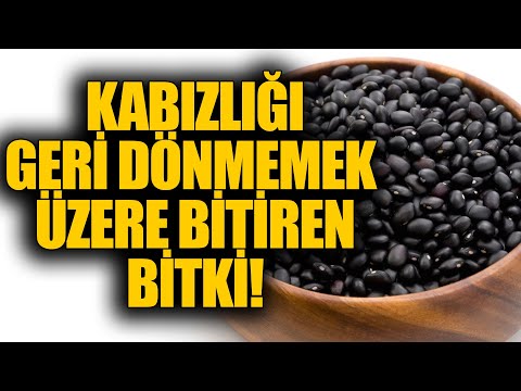 Kabızlığı geri dönmemek üzere bitiren bitki!