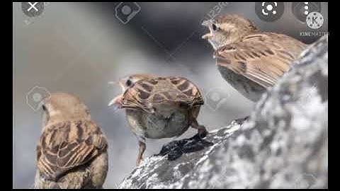 Class 7 Moral Science Chapter 5