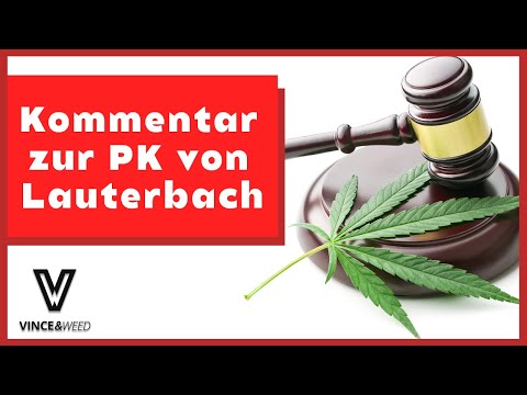 Die Eckpunkte von Karl Lauterbach zur Legalisierung sind da - MEINE MEINUNG🥦