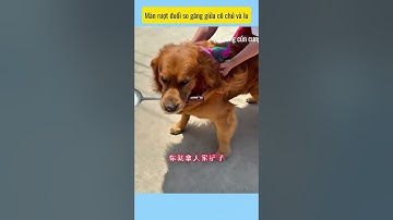 Đùa chút thôi, làm gì mà căng