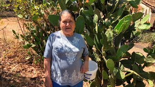 Thumbnail image for Pollo Envuelto al Vapor Fácil De Mi Rancho A Tu Cocina