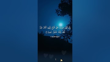 سورة الحُجُرات / الآيات 1-10