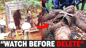 They Found Real Bigfoot – What Happened Next Shocked Everyone! | 100% Real Footage, NOT AI