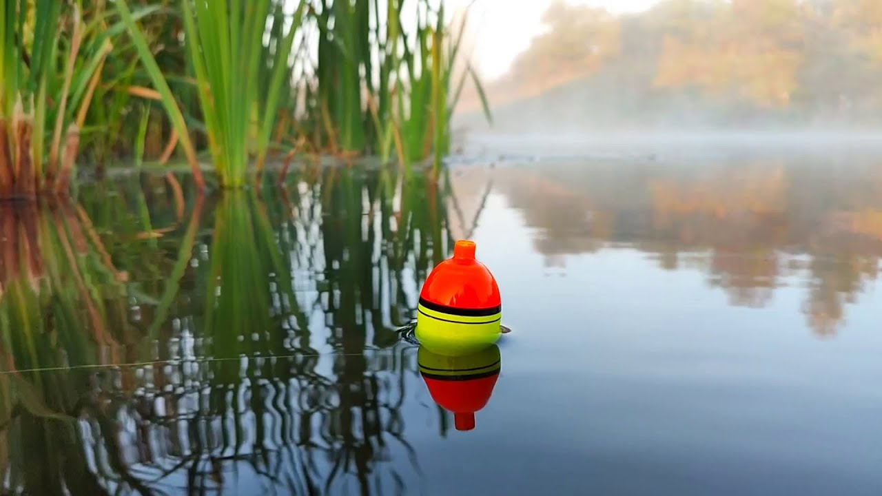 ПОПЛАВОЧНАЯ РЫБАЛКА НА ЩУКУ