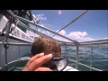 GoPro Great White Cage Diving (Cape Town) Gansbaai / Kleinbaai