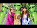 Spider Girl SAVES Sammie From Alien Invasion! Funny Dog