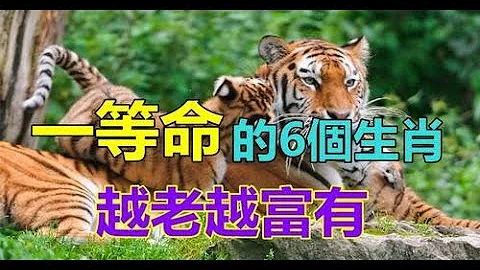 命中帶福！「天生一等命」的6個生肖　生來「福氣滿滿」榮華富貴享不盡 | 生肖命理 - 天天要聞