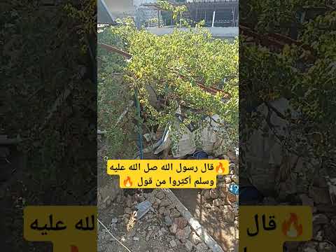 قال رسول الله صل الله عليه وسلم أ كث روا من قول صلوا على النبي ترند  احاديث 