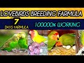 Lovebird Breeding Tips / How To Breed Lovebirds / Lovebird Breeding Farmula / Breeding Farmula