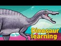 Dinosaur Irritator Collection | What is this dinosaur? | carnivorous dinosaur | 공룡 이리타토르