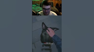 Petting Riley the Dog in MW3 Campaign