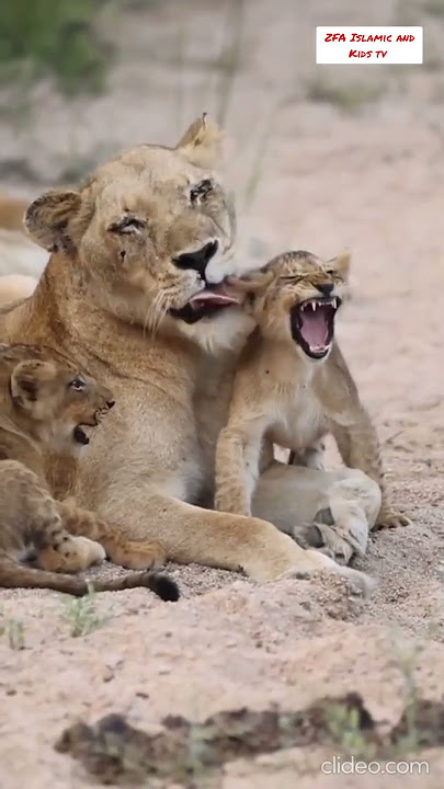 Pyari maa mujh ko teri dua Chahye #kids Urdu poems