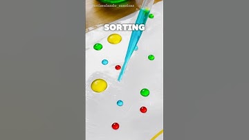 ❤️💧 DIY Water Drop Sorting – Fun, Colorful & Educational! 🎨