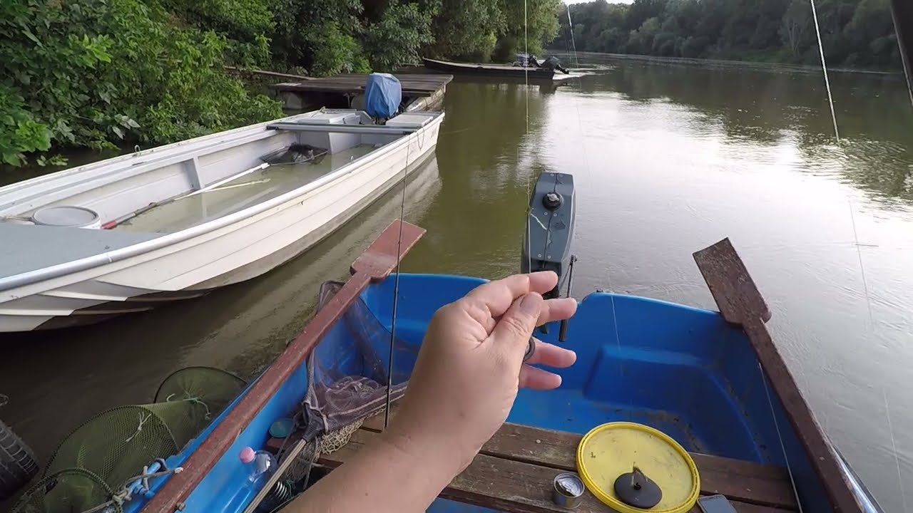 BRUTÁL KAPÁSOKKAL, EREDMÉNYES HARCSA HORGÁSZAT A TISZÁN, KLASSZIKUS CSALIVAL..KŐSÜLLŐ, SÜLLŐ,HARCSA.