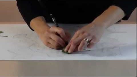 TMFD 425/825 Swiss Repeat 1