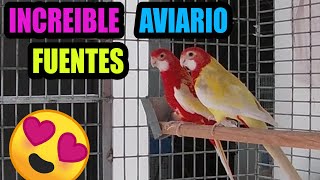 El increíble aviario de Carlos Fuentes agapornis canarios periquitos australianos y mas