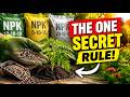 What Every Gardener Needs To Know About The One Secret Rule For Choosing Fertilizers Fast And Easy!