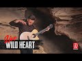 Wild Heart | Yuri Polezhaev | Live | Original