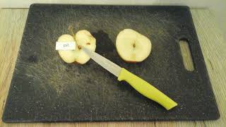 STEM in lager onderwijs - Dissectie appel