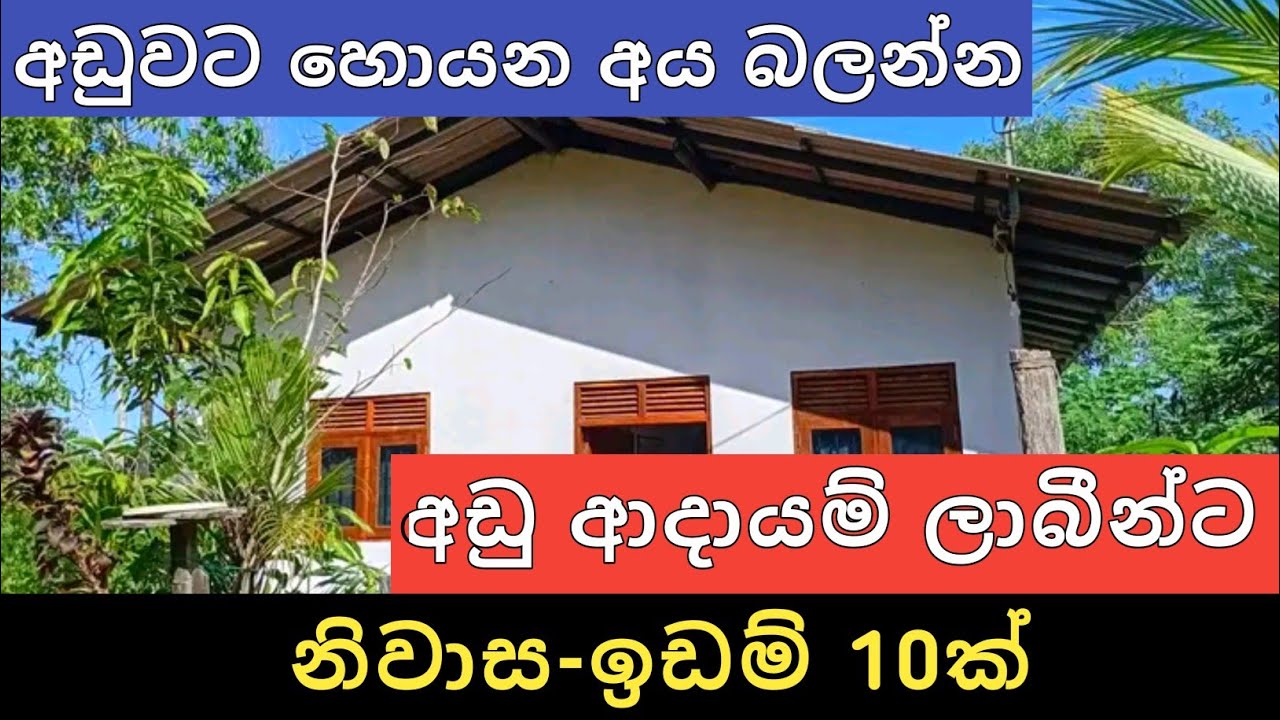 අඩු ආදායම් ලාබීන්ට නිවාස ඉඩම් 10ක් | Aduwata idam gewal | House for sale | Land sale | Ikman Selling