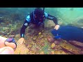 Found Money ANTIQUE Jewelry & GOLD Diving with MEGALODON Fish!!