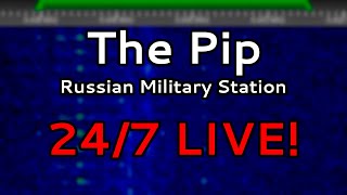 The Pip | 24/7 Live!