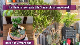 3 Year Old Succulent Arrangement Makeover by SUCCULENT CRAVINGS by Vic Villacorta 1,422 views 3 weeks ago 8 minutes, 36 seconds