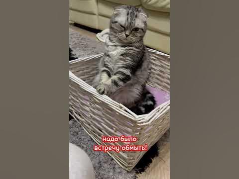 Сегодня суббота - YouTube