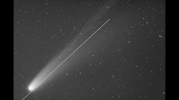 Comet C/2025 A6 Lemmon: fast ion tail evolution