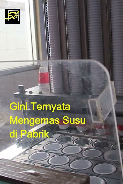 Susu pangalengan, lihat langsung cara ngemasnya.  #shorts #kpbs #susu #pangalengan  #kuliner