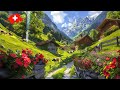 Treib emmetten switzerland  most beautiful places in switzerland  lake lucerne 4k walking tour