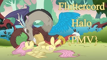 Fluttercord~Halo {PMV}