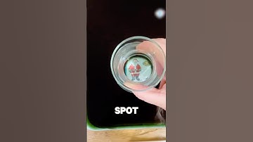 🔎✨ DIY I-Spy Activity – Perfect for Playtime & Learning! 🎨📚❤️