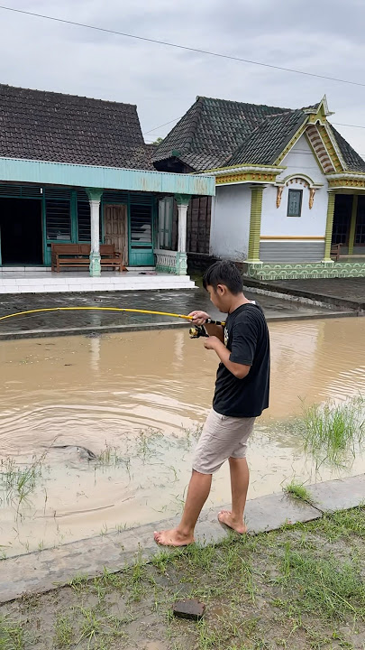 Fishing in front of the house during a flood, caught a 5 kg catfish #fishing #catfish #monstercat...