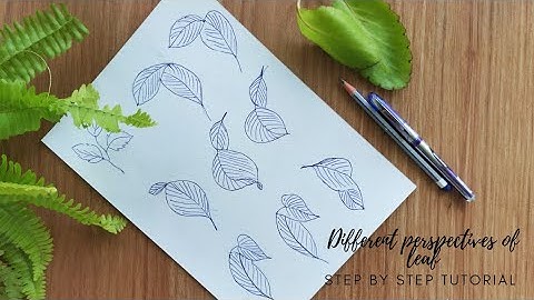 How to draw different leaf perspectives. How to draw leaves. Step by step tutorial.