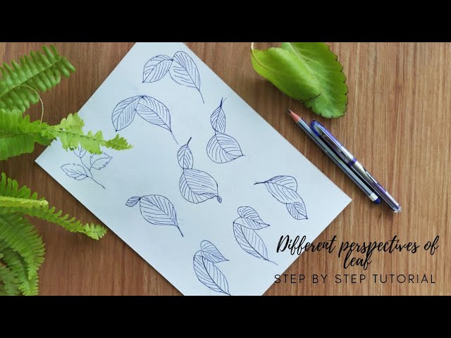 leaf 🌿 sketch pen art : r/drawing