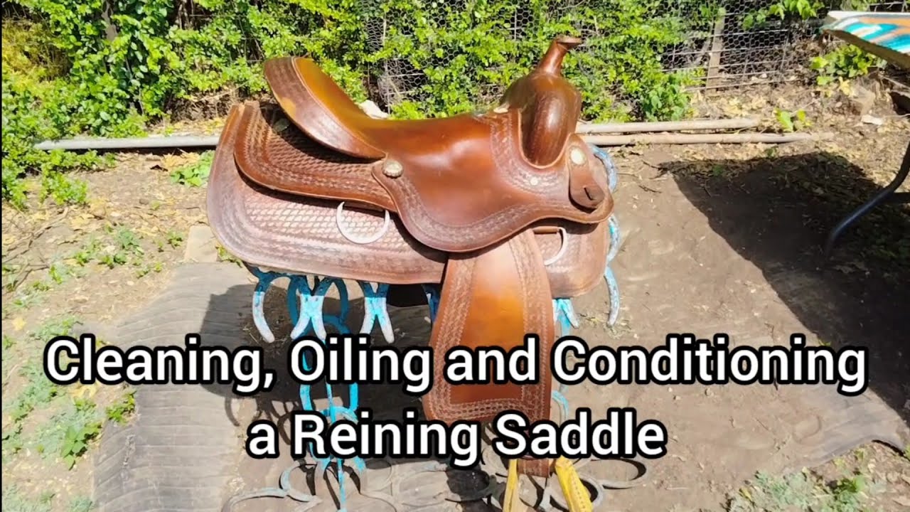 How to Clean, Oil and Condition a Western Reining Saddle YouTube