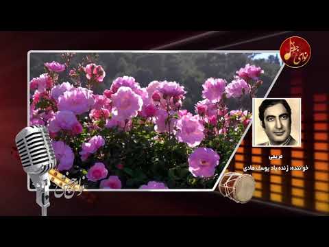 مریم مریمی یوسف هادی