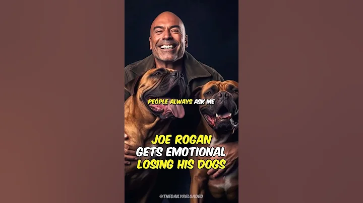 Joe Rogan Gets Emotional About Losing His Dogs #joerogan #mindset #animals - DayDayNews