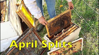 Our Early April Nuc Production